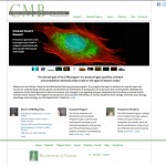We originally developed this site in 2004; this site redesign took advantage of all the orignal data driven elements but wrapped it in a new, WordPress package.